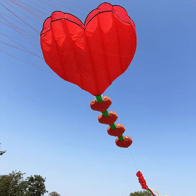 Reel Bag - Nouveau cerf-volant gonflable souple en forme